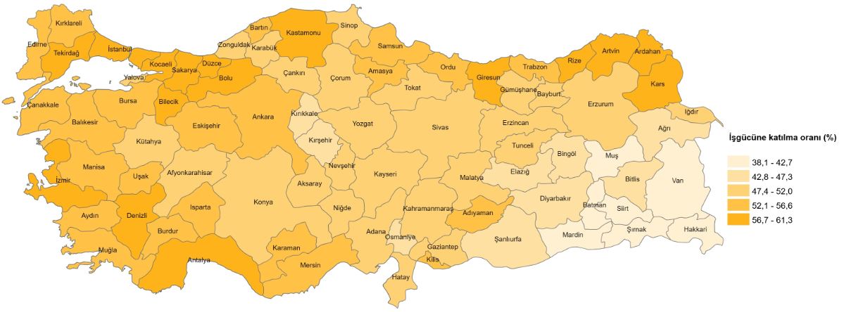 Türkiye İşgücü Göstergeleri 2025: İşsizlik ve İstihdamda Sonuçlar